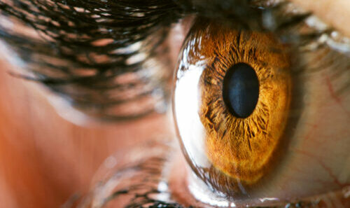 Human eye, macro closeup view for cornea reference.